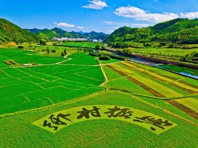 村落振兴工作动态 （第146期）