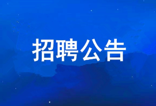 抖圈 2025年度公开招聘布告