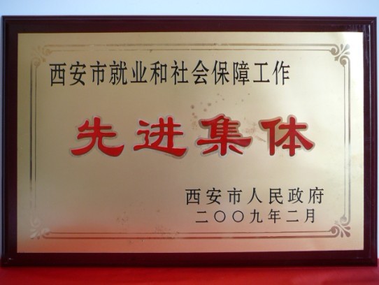 2009年2月，被西安市当驹炖为西安市就业和社会保险工作先进集体