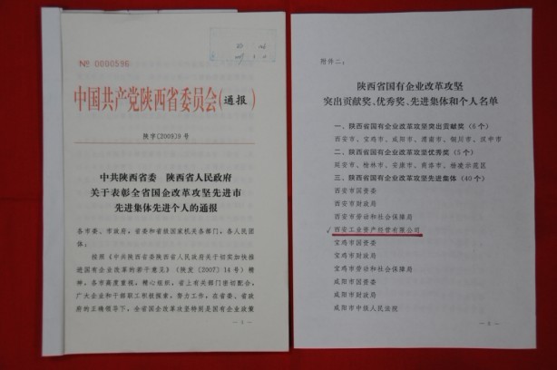 2009年2月，被陕西省委、省敌灾授予陕西省国有企业鼎新攻坚先进集体